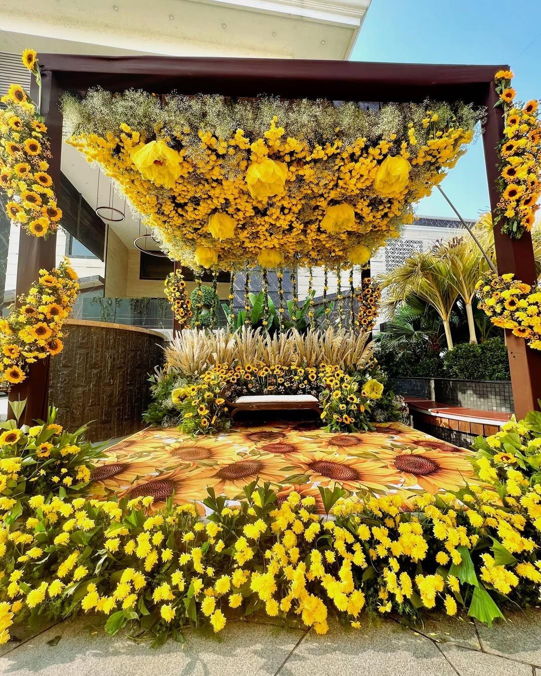 Sunflower Canopy