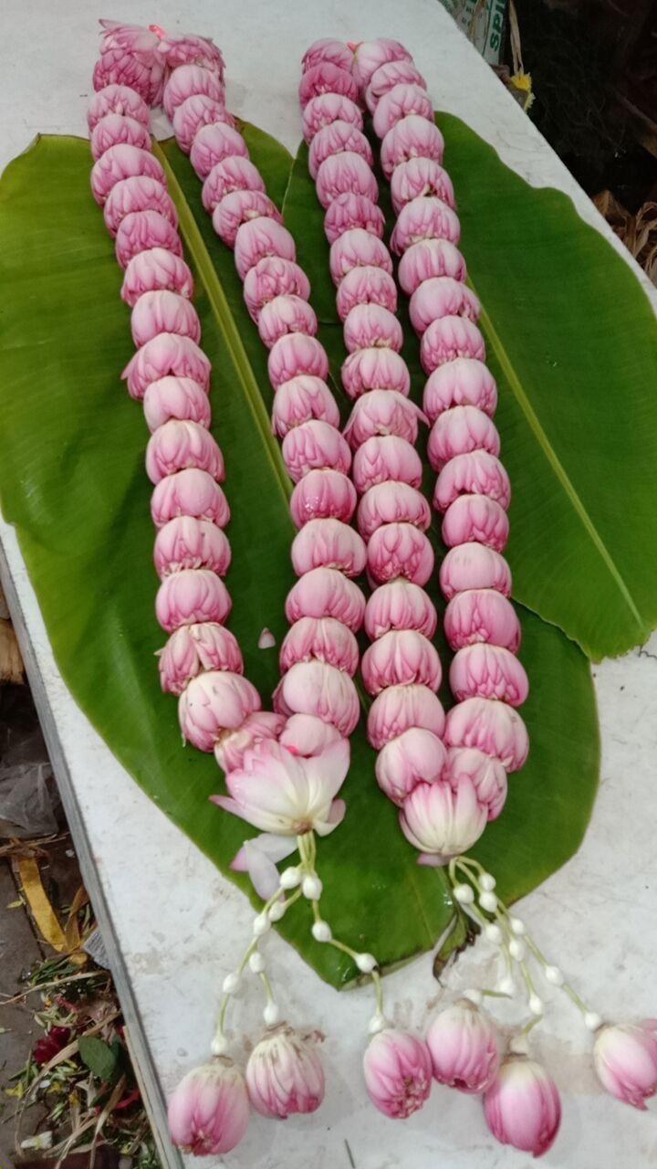 Divine Kamal