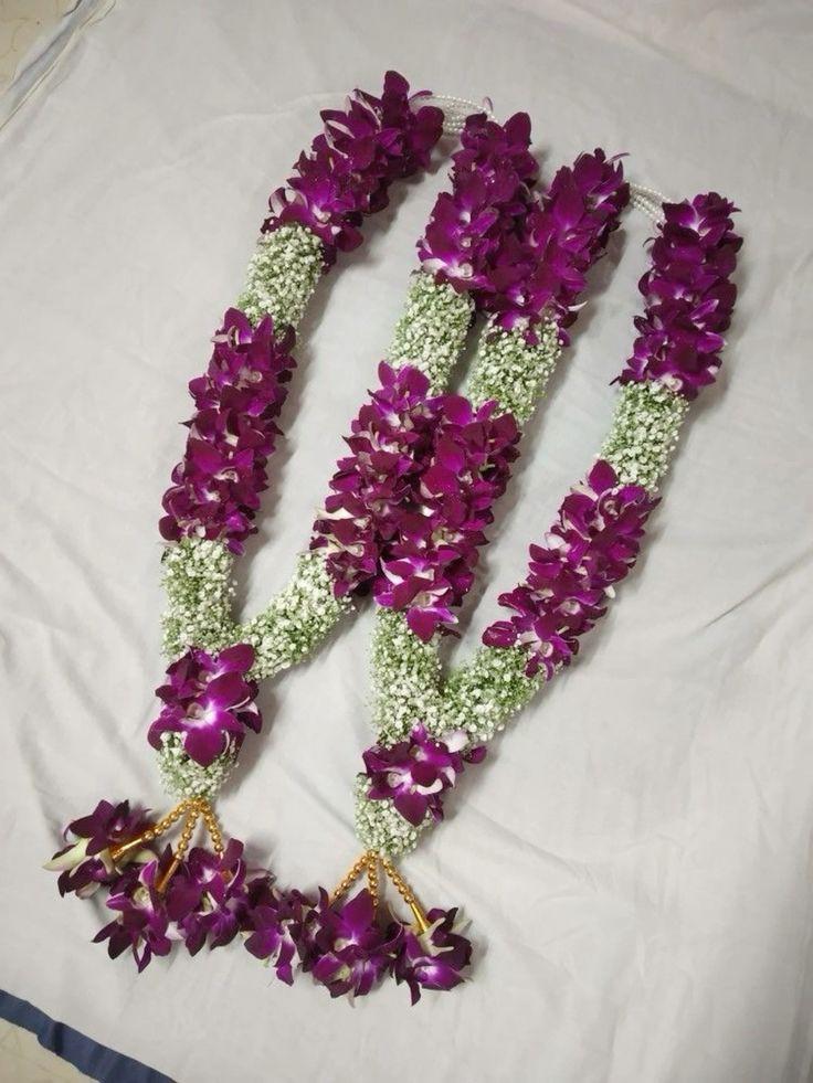Royal Purple Orchid