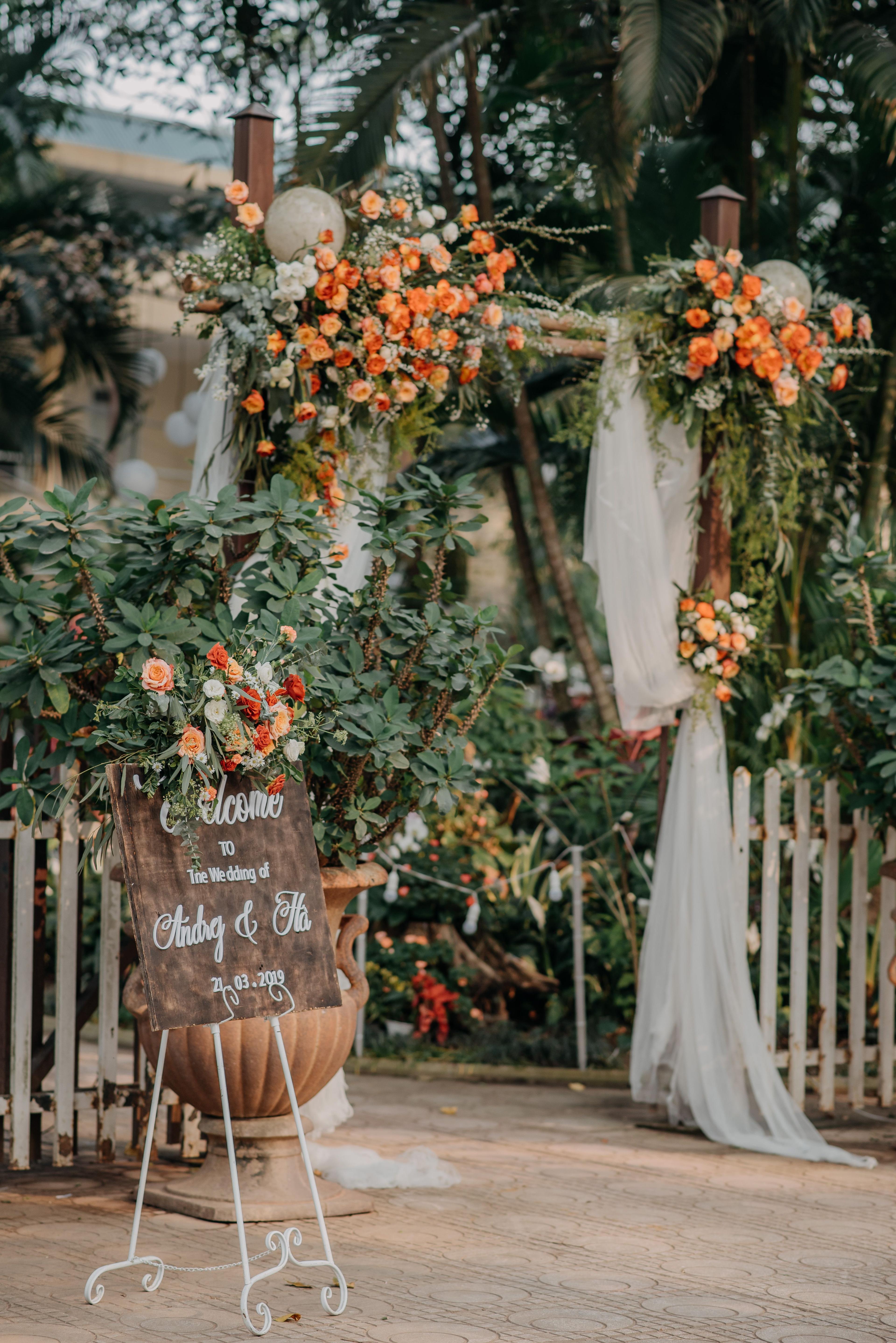 Blush Boho