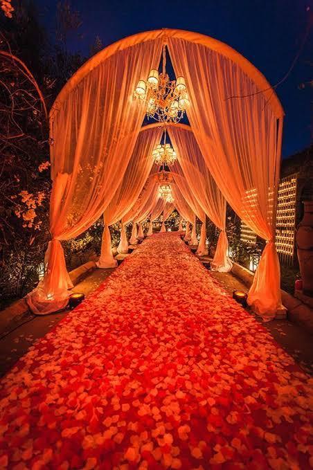 Enchanting Vine Glow