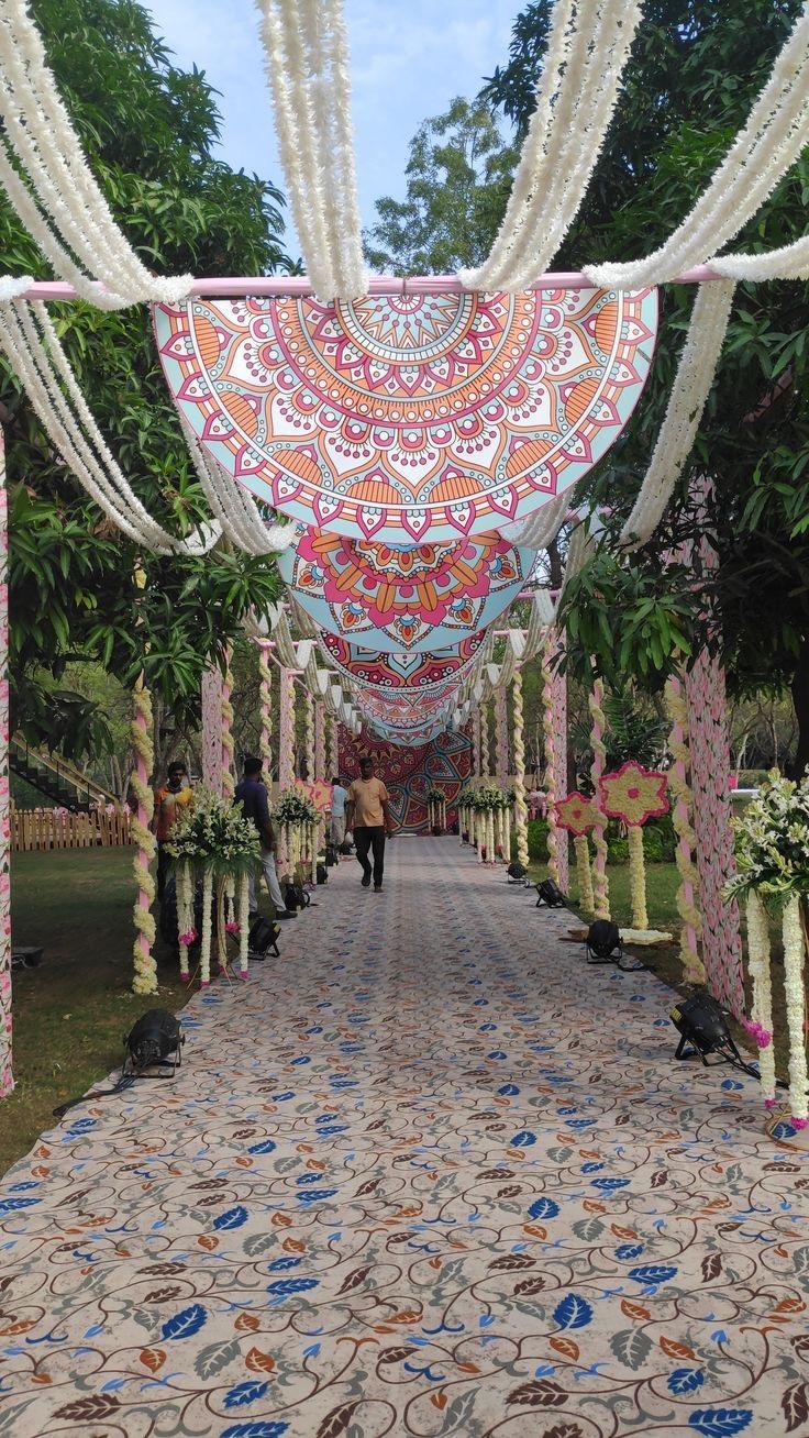 Zenith Bliss Drapes