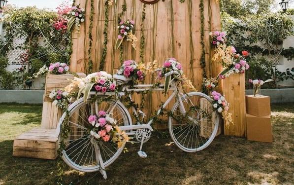 Verdant Velo Vista