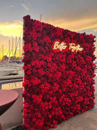 Rosy Red Reel