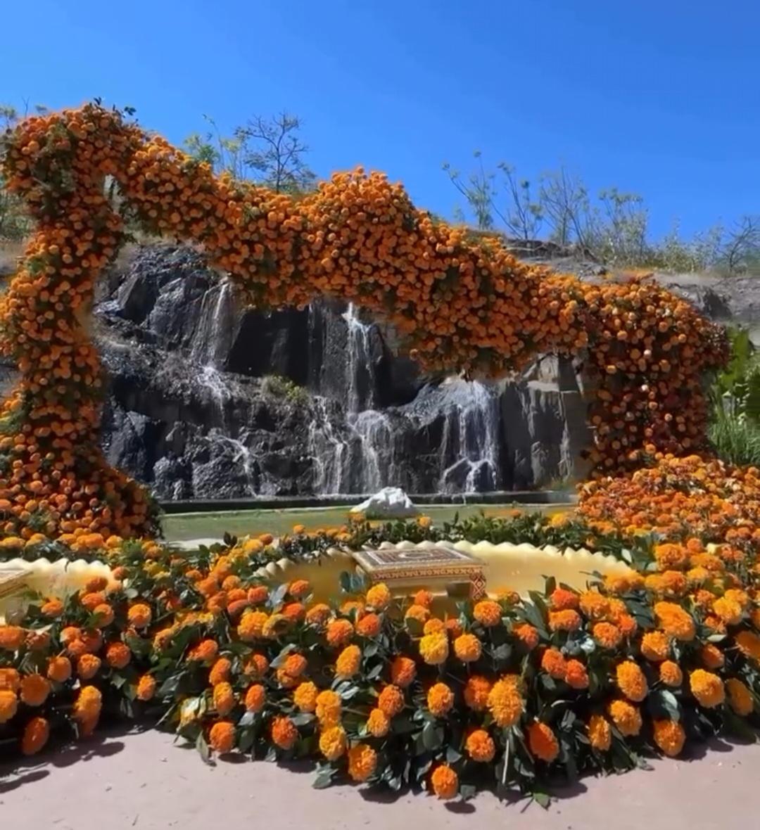 Marigold Mirage
