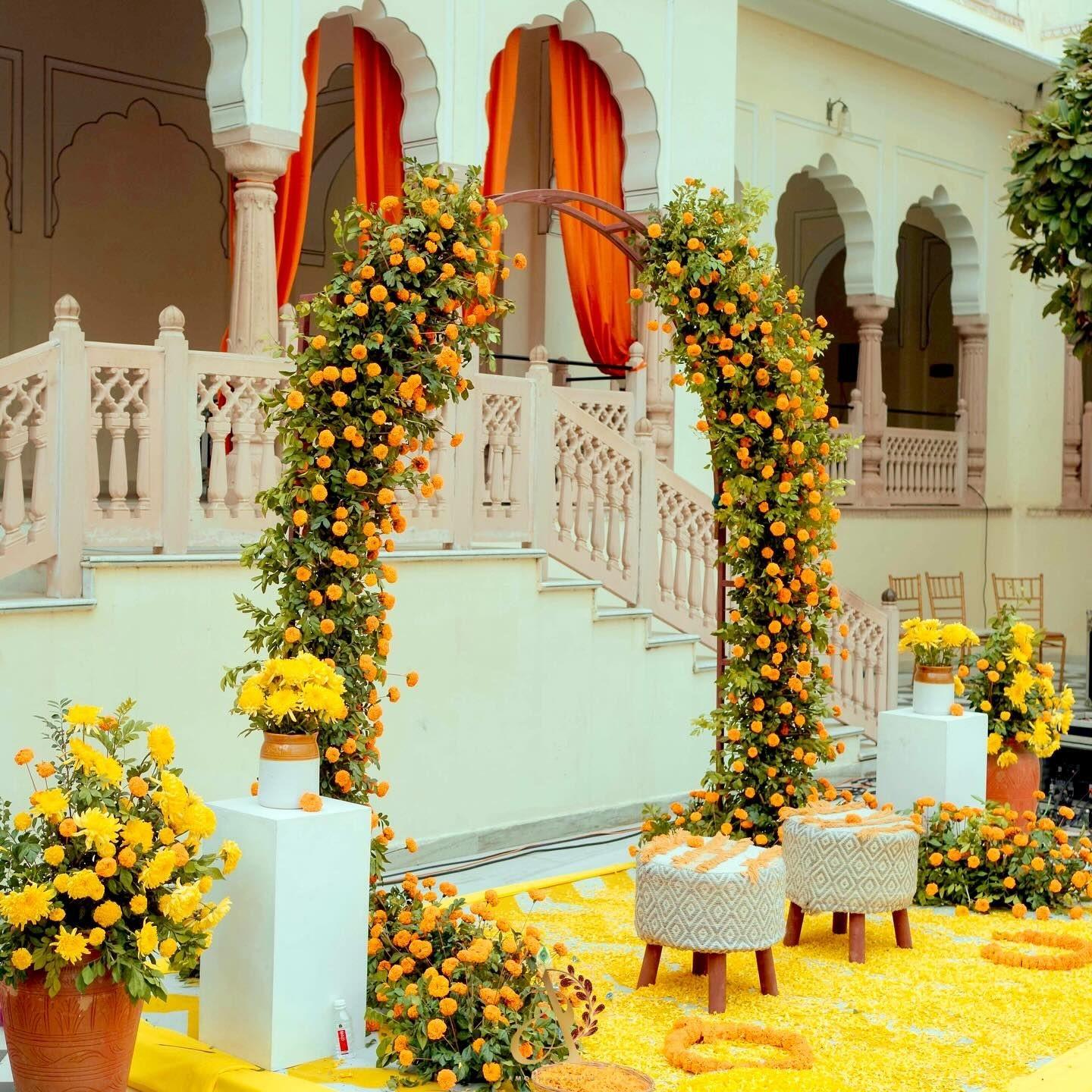 Marigold Cascade