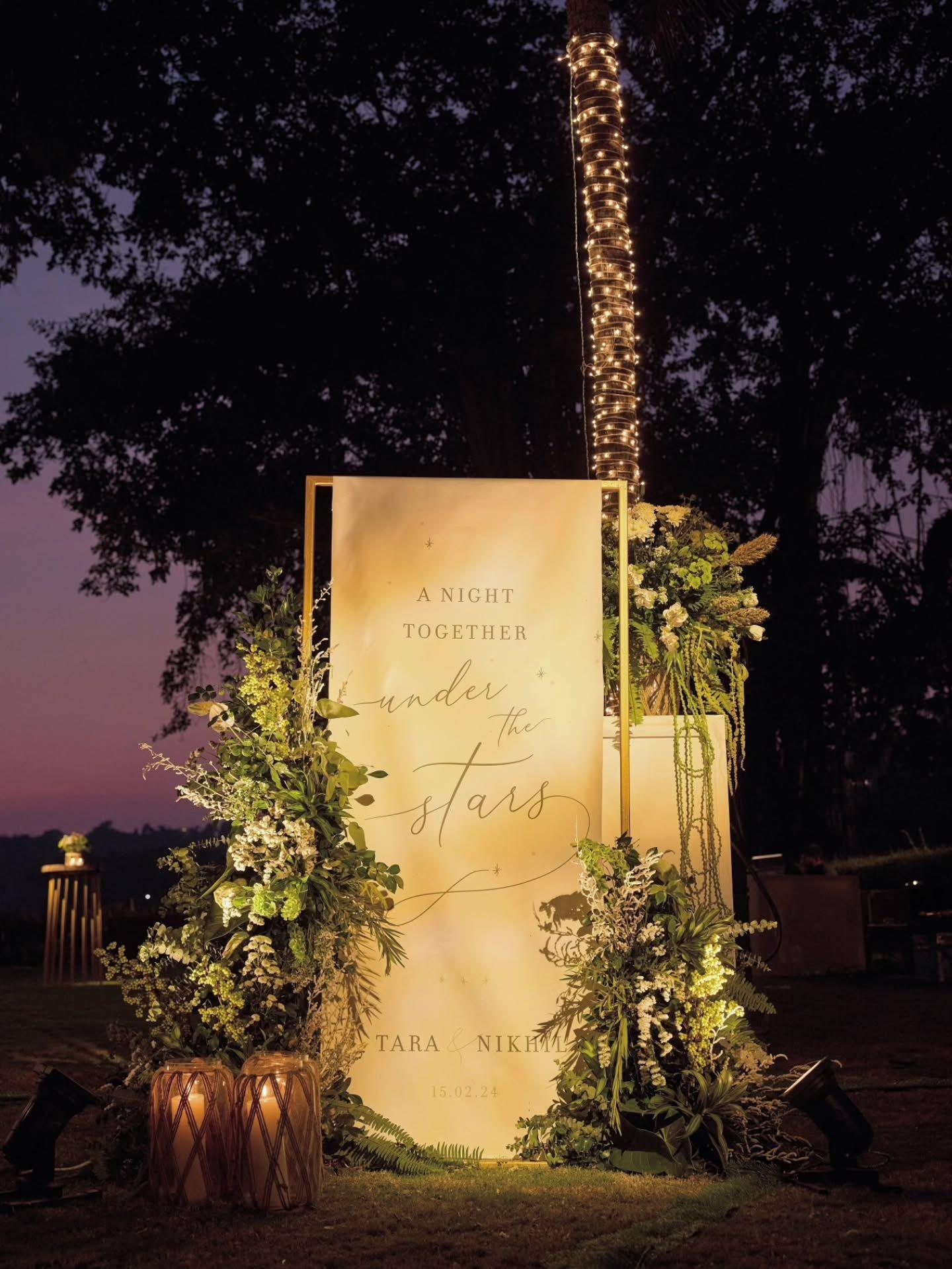 Starlit Vow Panel
