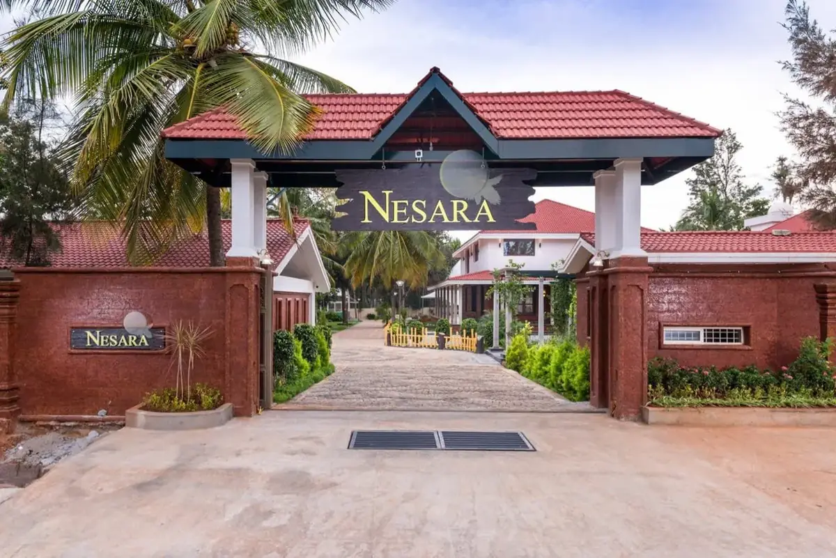 6. The Nesara